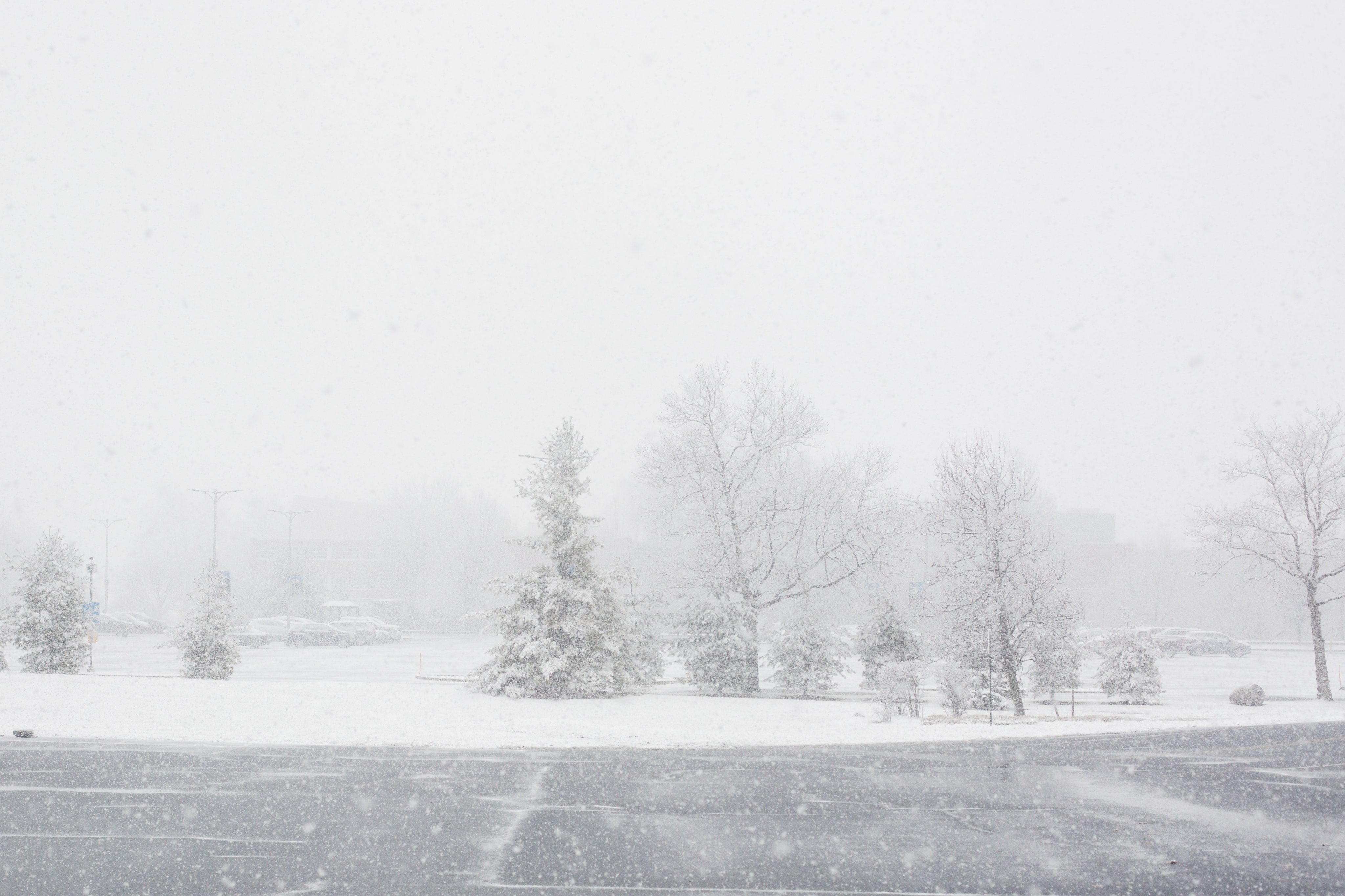 Embrace the Chill: 12 Winter Hobbies to Keep Busy Indoors