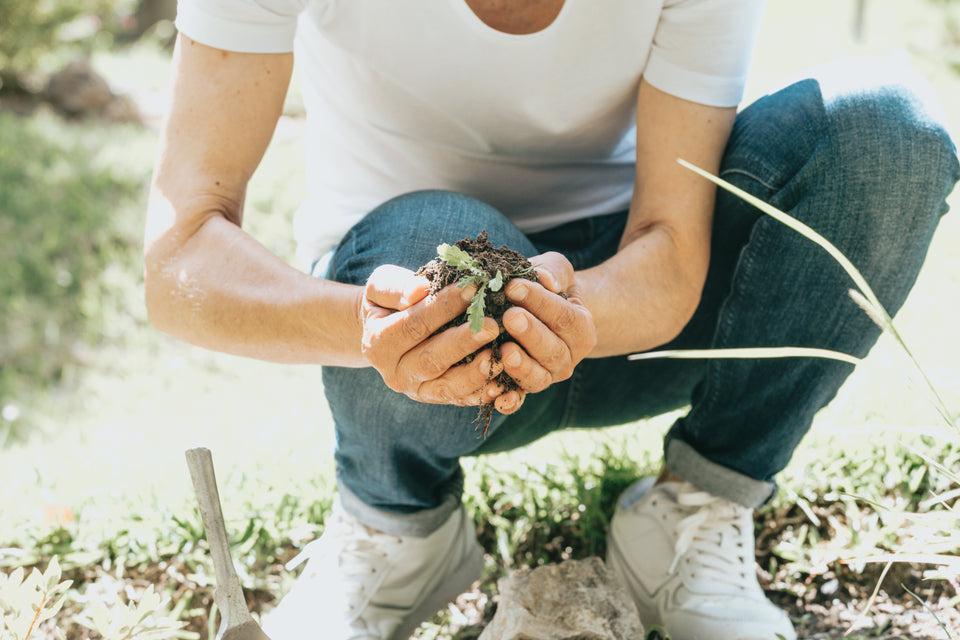 How to Start Composting: Make Your Own Soil Amendments