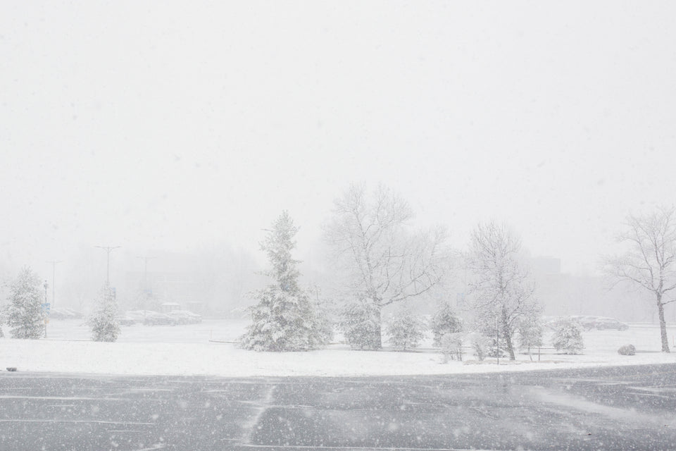 Embrace the Chill: 12 Winter Hobbies to Keep Busy Indoors