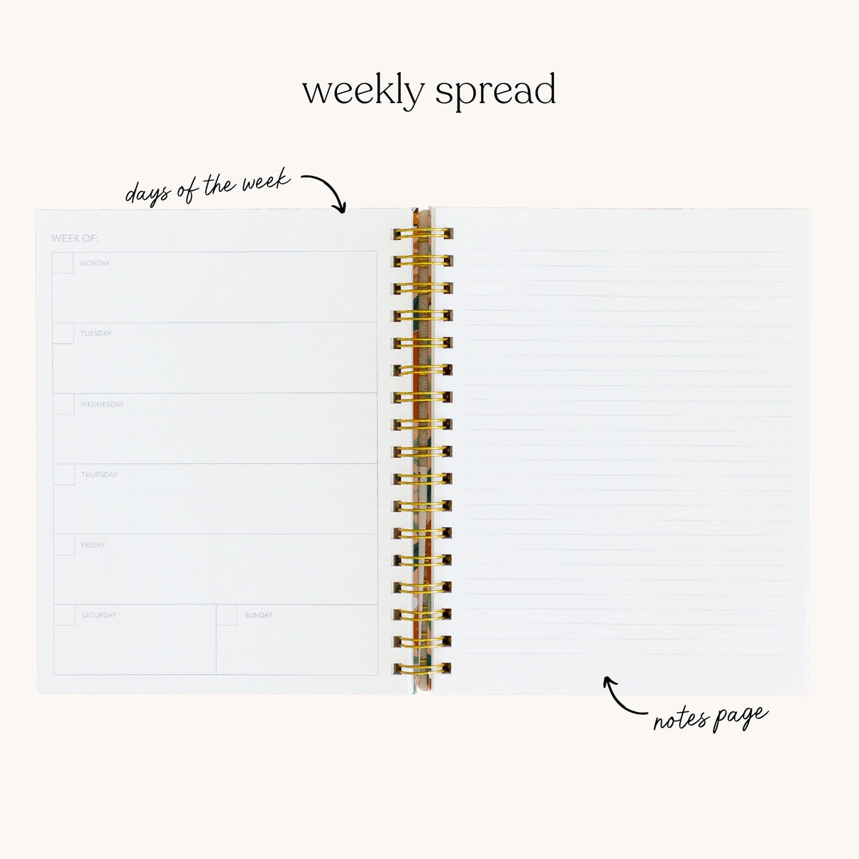 Meadow Flowers Undated Planner